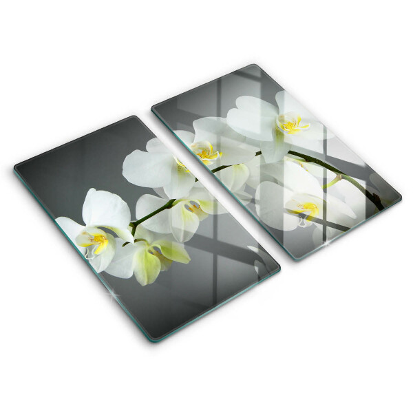 Skärbräda glas Blommor vit orkidé
