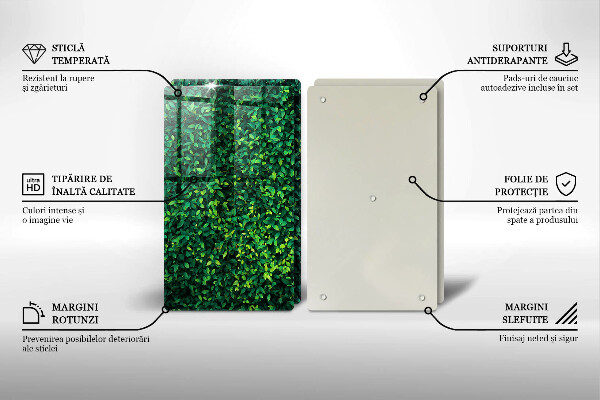Skärbräda glas Plantera små blad