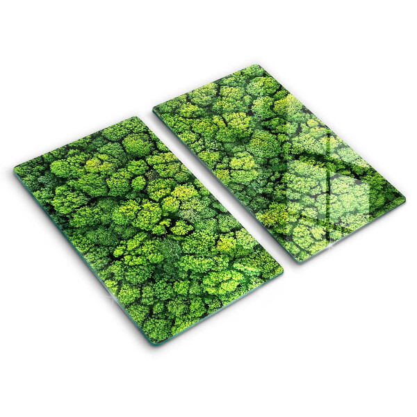Skärbräda glas Naturen planterar mossa
