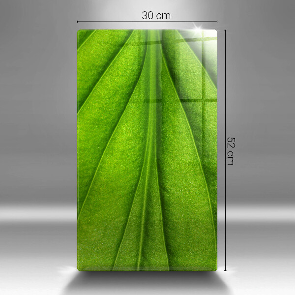 Glasskärbräda Lövvens natur