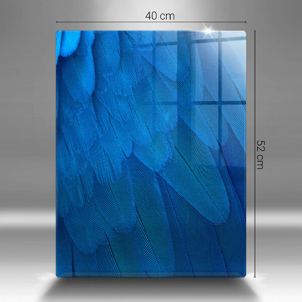 Glasskärbräda Fågelfjädrar