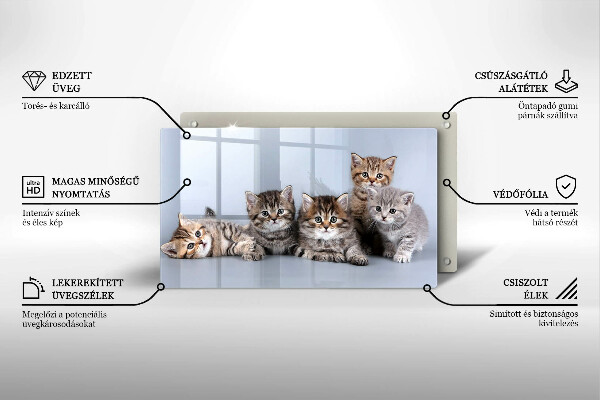 Skärbräda i härdat glas Söta små kattungar