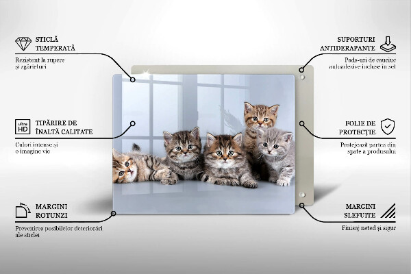 Skärbräda i härdat glas Söta små kattungar