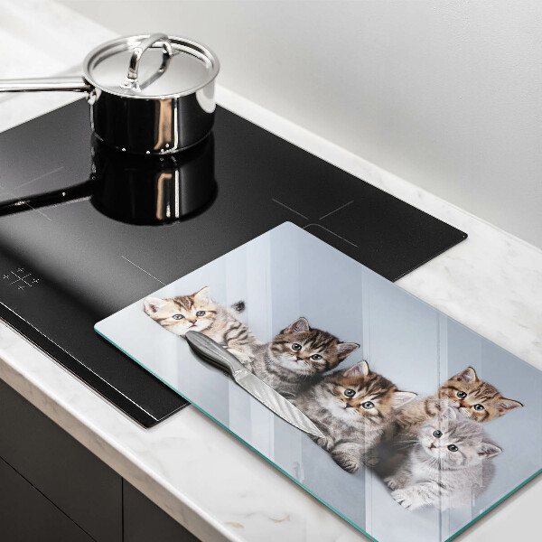 Skärbräda i härdat glas Söta små kattungar