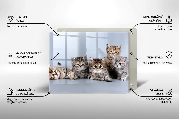 Skärbräda i härdat glas Söta små kattungar