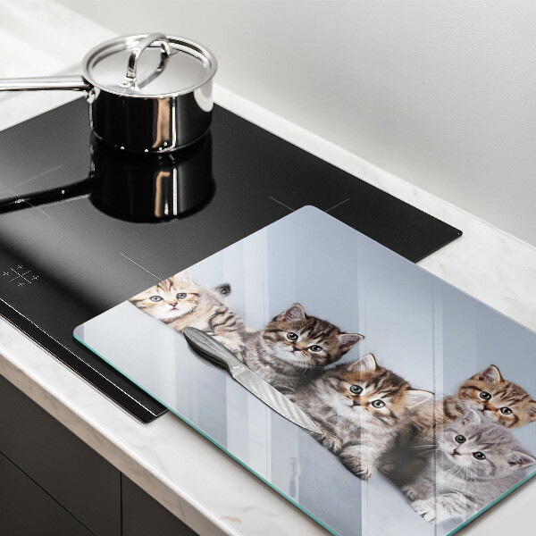 Skärbräda i härdat glas Söta små kattungar
