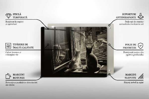 Skärbräda i härdat glas Katter stad och fönster