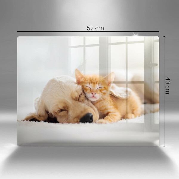 Skärbräda i härdat glas Djur hund och katt