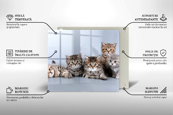 Skärbräda av glas Söta små kattungar