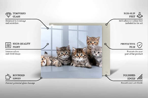 Skärbräda av glas Söta små kattungar