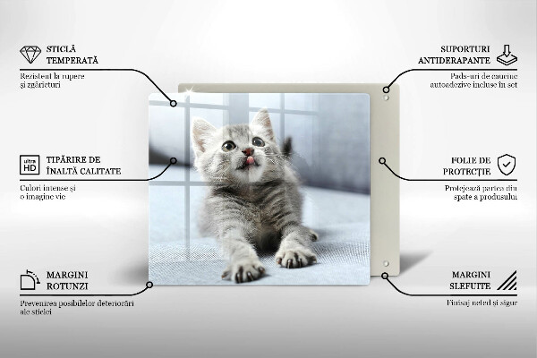 Skärbräda av glas Liten söt kattunge