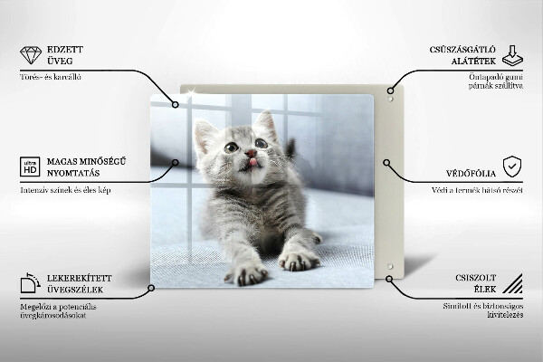 Skärbräda av glas Liten söt kattunge