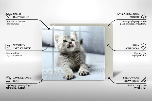 Skärbräda av glas Liten söt kattunge