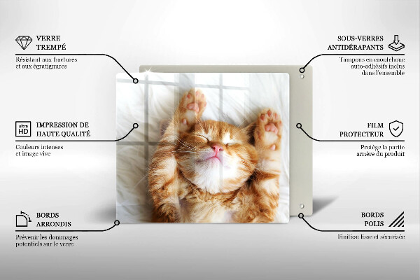 Skärbräda av glas Liten söt kattunge