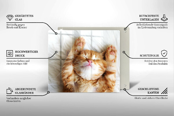 Skärbräda av glas Liten söt kattunge