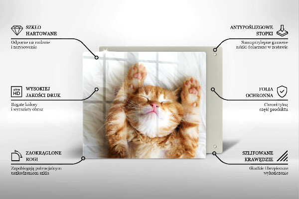 Skärbräda av glas Liten söt kattunge