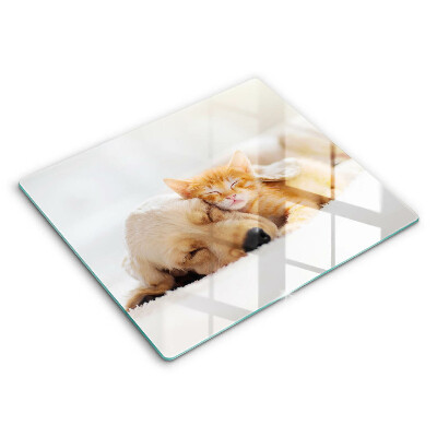 Skärbräda av glas Djur hund och katt