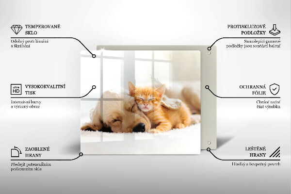 Skärbräda av glas Djur hund och katt