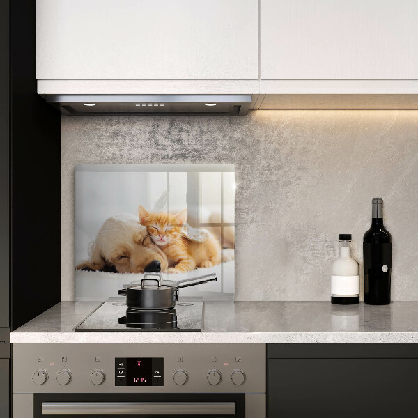 Skärbräda av glas Djur hund och katt