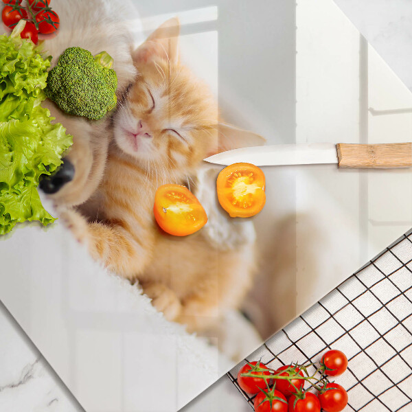 Skärbräda av glas Djur hund och katt