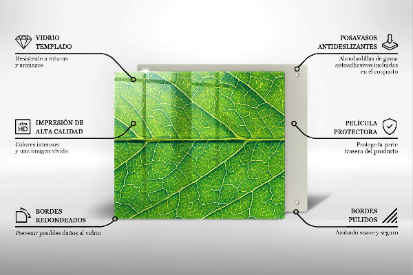 Skärbräda av glas Blad vener natur