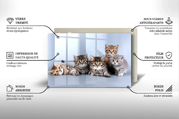 Skärbräda glas modern Söta små kattungar