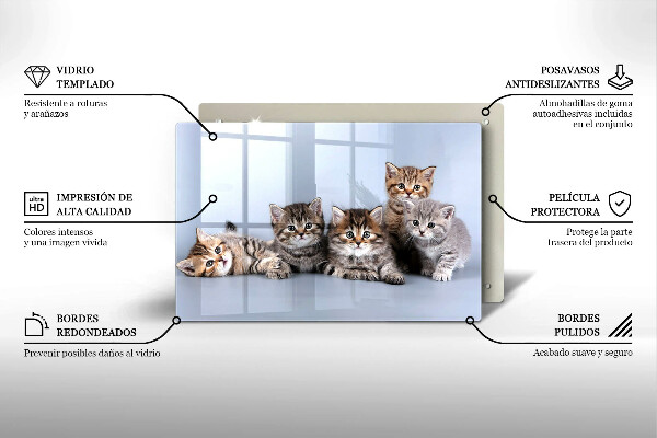 Skärbräda glas modern Söta små kattungar