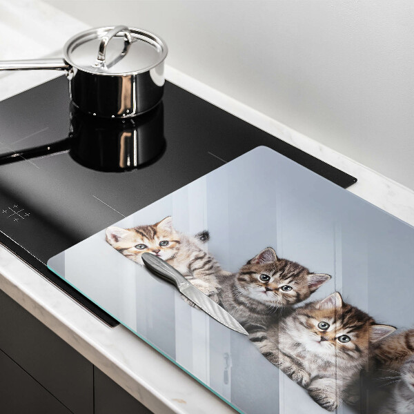 Skärbräda glas modern Söta små kattungar