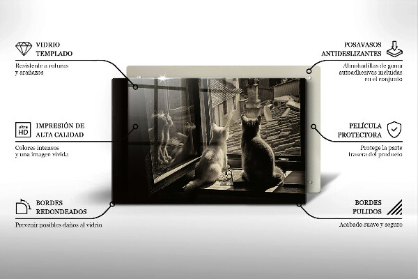 Skärbräda glas modern Katter stad och fönster