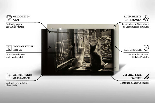 Skärbräda glas modern Katter stad och fönster
