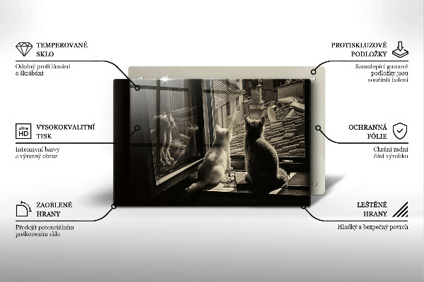 Skärbräda glas modern Katter stad och fönster