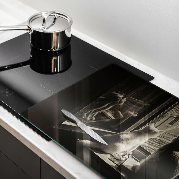 Skärbräda glas modern Katter stad och fönster