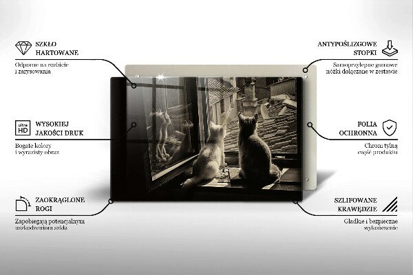 Skärbräda glas modern Katter stad och fönster