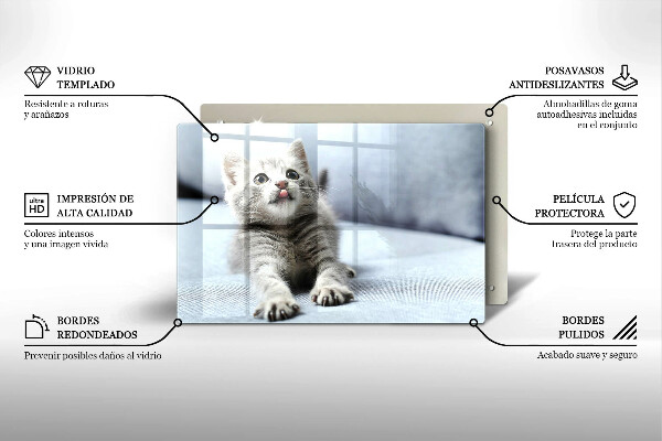 Skärbräda glas modern Liten söt kattunge