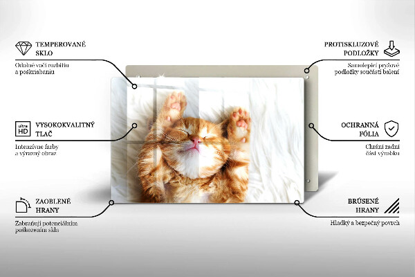 Skärbräda glas modern Liten söt kattunge