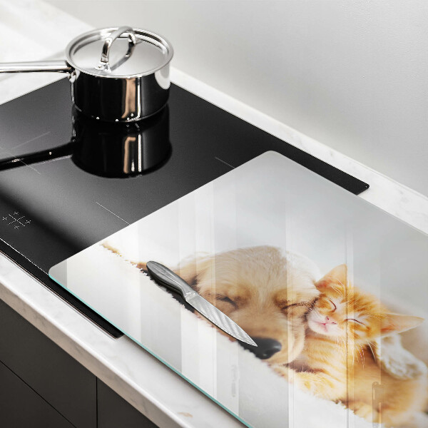 Skärbräda glas modern Djur hund och katt