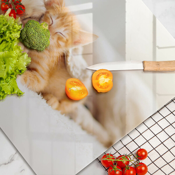 Skärbräda glas modern Djur hund och katt