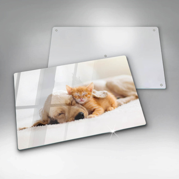 Skärbräda glas modern Djur hund och katt