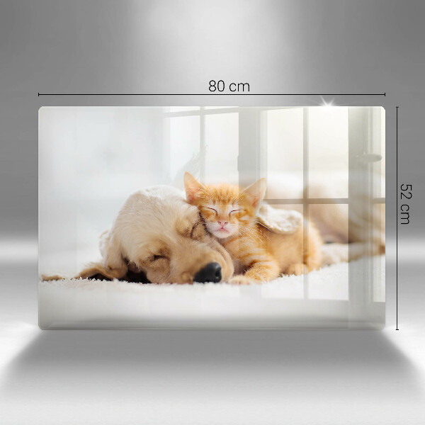 Skärbräda glas modern Djur hund och katt