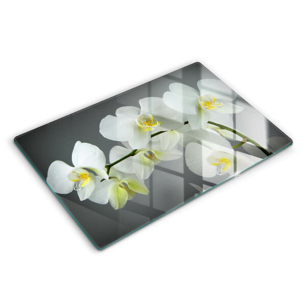 Skärbräda glas modern Blommor vit orkidé