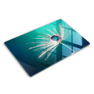 Skärbräda glas modern Dagg på maskrosen