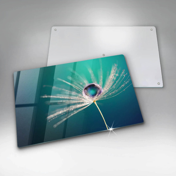 Skärbräda glas modern Dagg på maskrosen