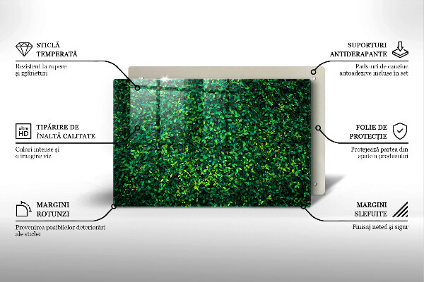 Skärbräda glas modern Plantera små blad