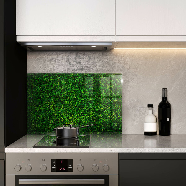 Skärbräda glas modern Plantera små blad