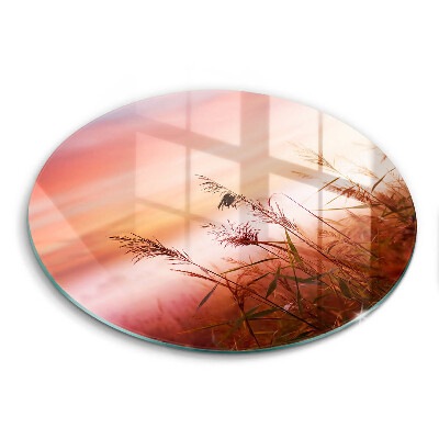 Skärbräda glas unik Landskap av gräsfält