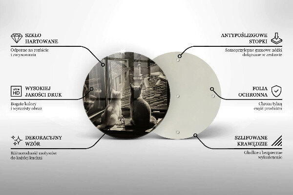 Skärbräda glas unik Katter stad och fönster