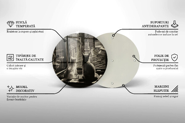 Skärbräda glas unik Katter stad och fönster