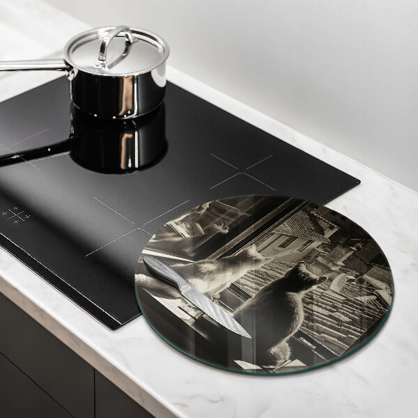 Skärbräda glas unik Katter stad och fönster