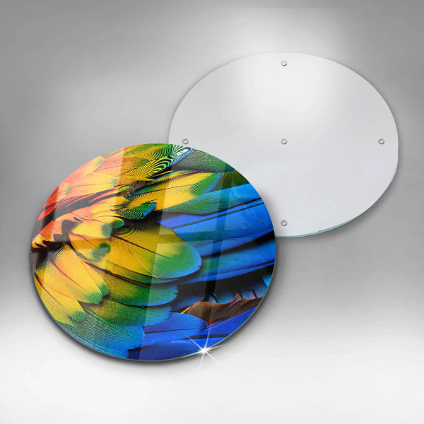 Skärbräda glas unik Färgglada papegojfjädrar