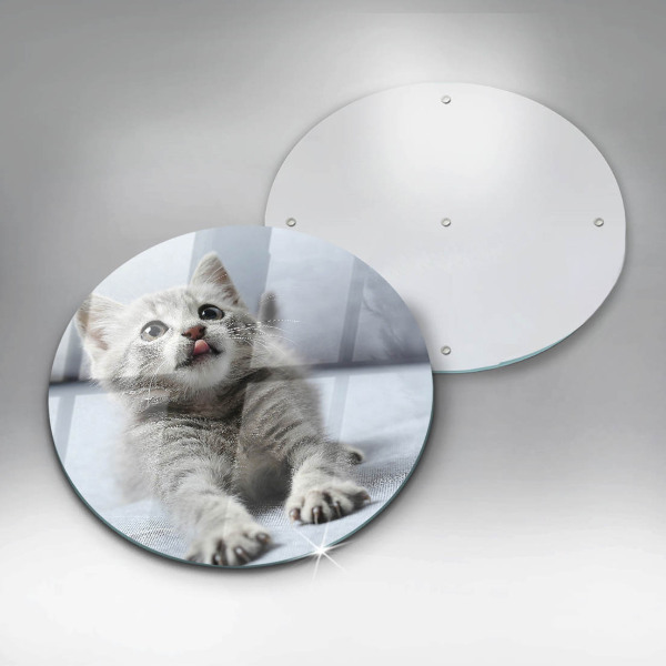 Skärbräda glas unik Liten söt kattunge